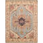 Oriental Area Rug-1660497848