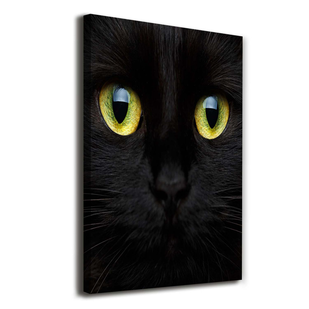 Cat'S Eyes - Kunstdrucke auf Leinwand - Wrapped Canvas