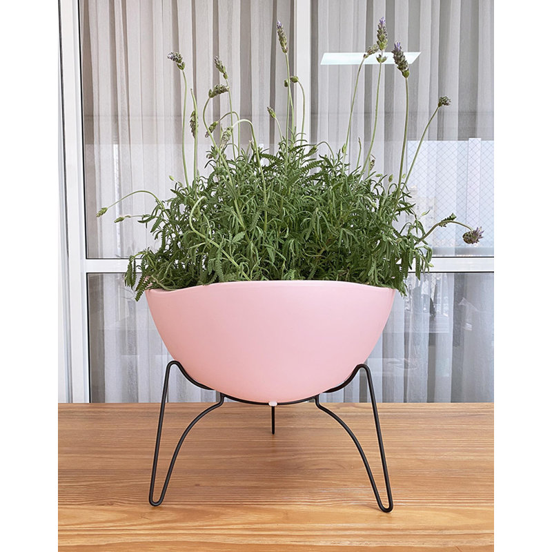 Pot à fleurs en résine de polyéthylène Clent, Rose, H 8,86 po x l 7,87 po x P 7,87 po