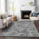 Premium Machine Washable Apodaca Gray Rug