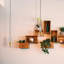 1 - Light Bulb Pendant-590196228