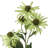 29" Echinacea 2 Buds-1996629244