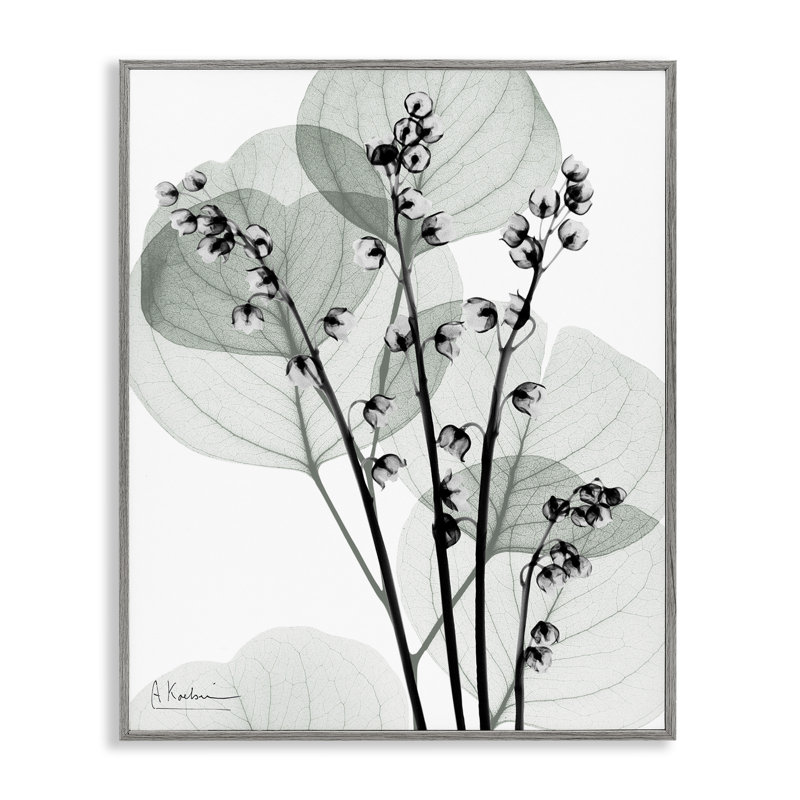 Giclée encadrée de fines herbes fraîches, design par Albert Koetsier, H 20 po x l 16 po, Estampe numérique Farmhouse