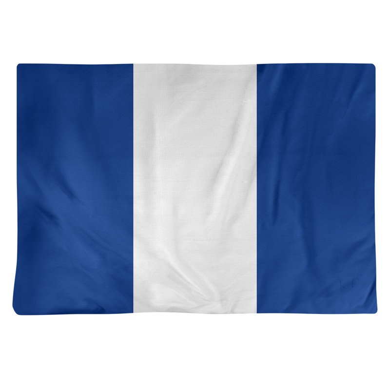 Récapitulatif 18" à rayures de football Seattle, Bleu / Blanc