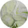 Premium Machine Washable Cerrito AMF506 Green Rug