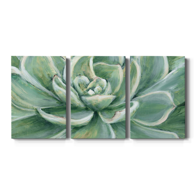 Succulent - Toile tendue avec châssis de qualité supérieure - Prêt à être accroché, H 36 po x l 72 po x P 1 po