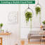Metal Wall Planter-114314220-114314218