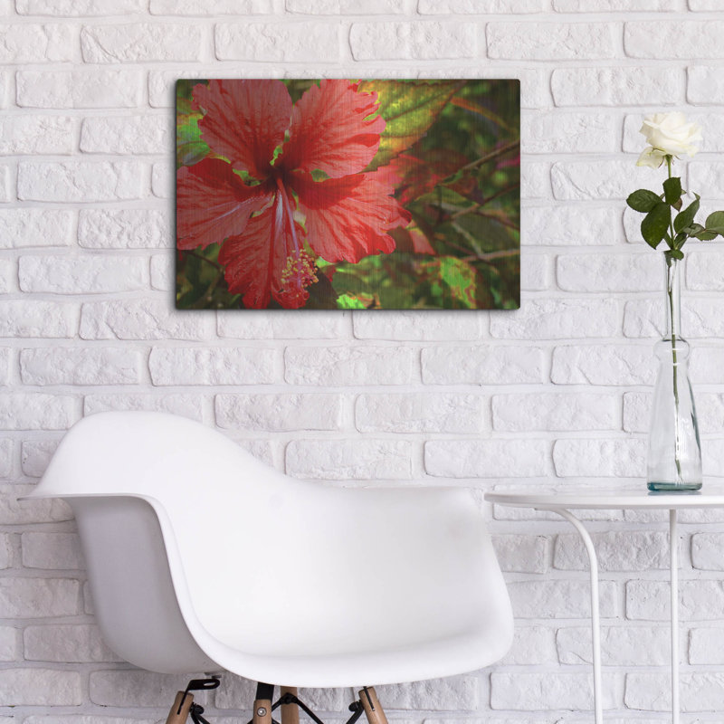 «Red Hibiscus» par Don Spears