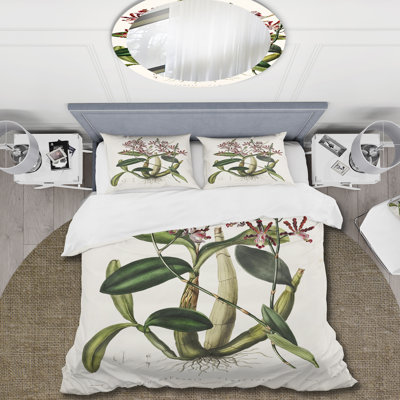 Ensemble de housse de couette traditionnel Vintage Plant Life VII - microfibre de polyester