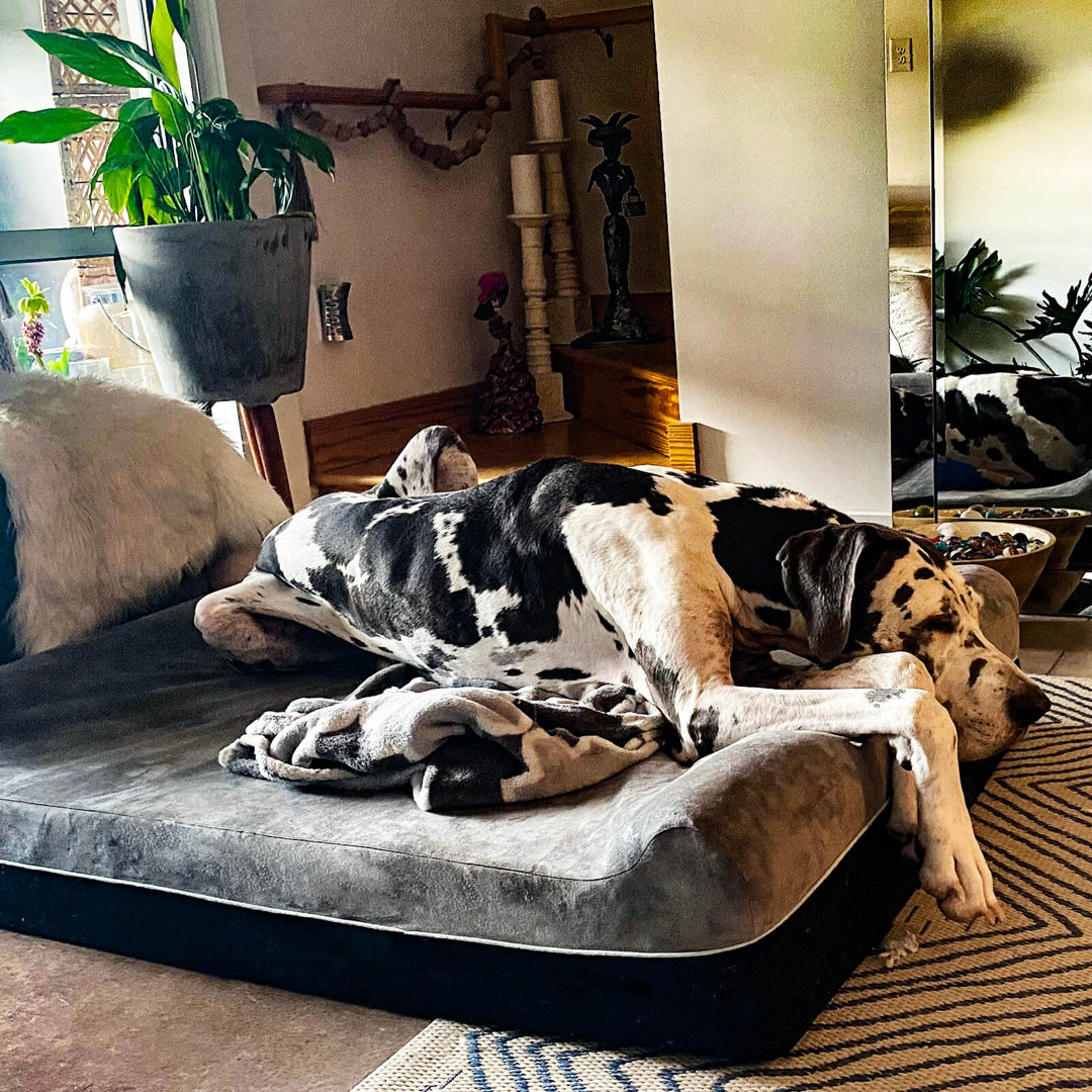 Johnone Dog Bed Mat/Pad Tucker Murphy Pet™ 