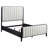 Traequan 60-inch Upholstered Queen Bed Black-888692652