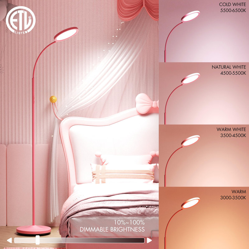 Floor Lamp for Living Room, Pink