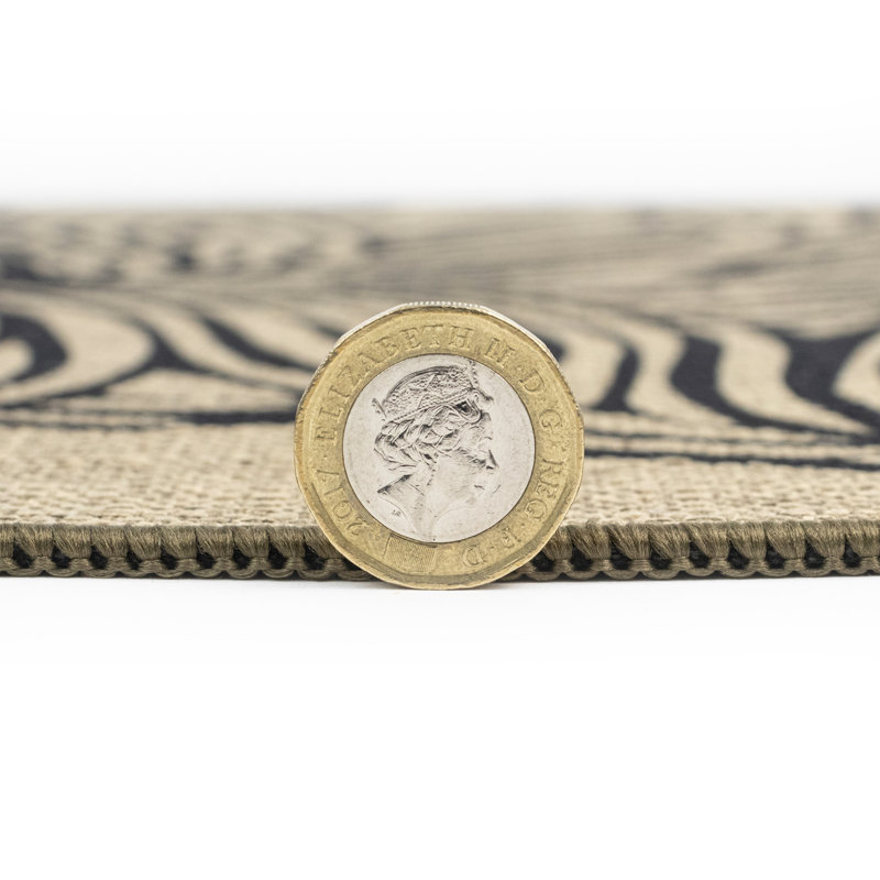 Area Rug