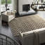 Geometric Area Rug in Gray/Brown