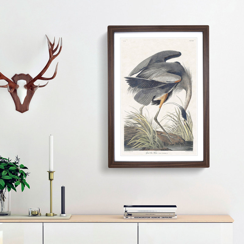 Great Blue Heron by John Audubon - Framed Print, 36cm H x 27cm W x 2cm D, Walnut Framed
