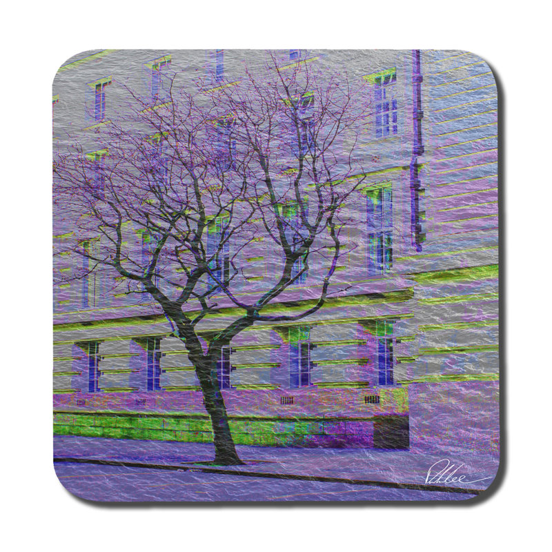 Square 6 Piece Coaster Set