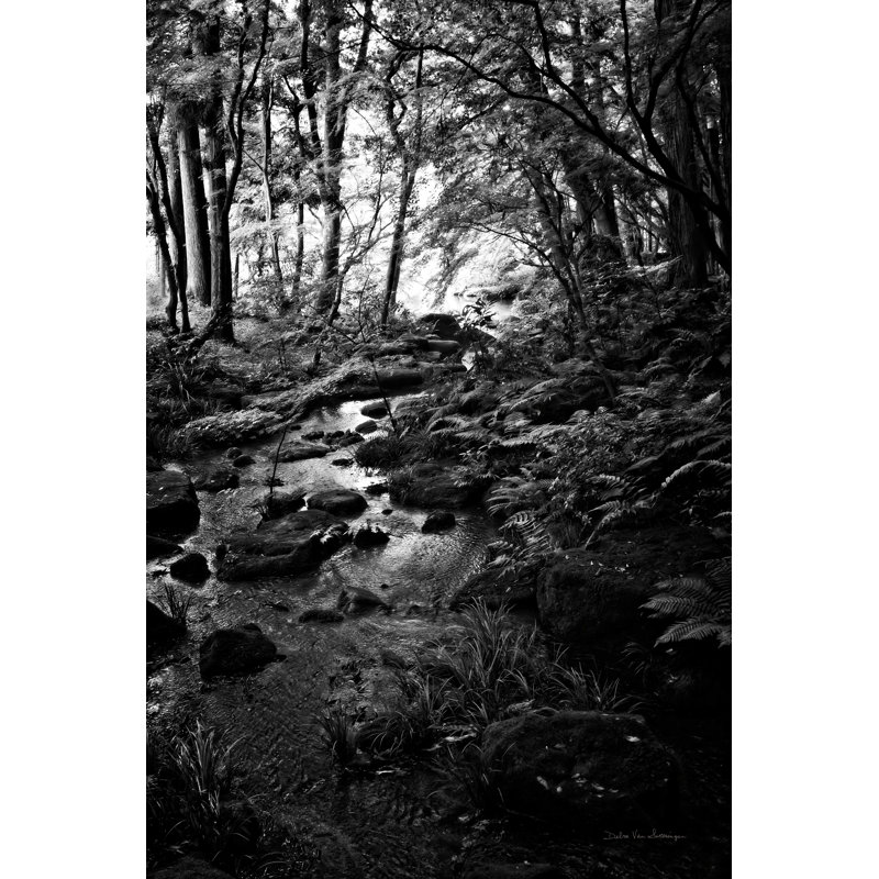 Lush Creek dans Forest BW, H 30 po x l 20 po