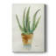 Succulent IV - galerie Cavas sur mesure-691230919