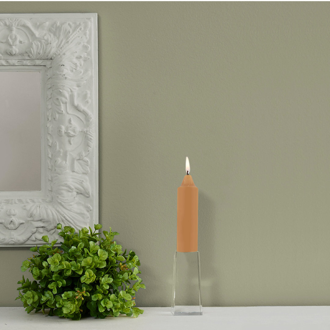 Smooth Collenette Unscented Taper Candle (Set of 4) Root Candles