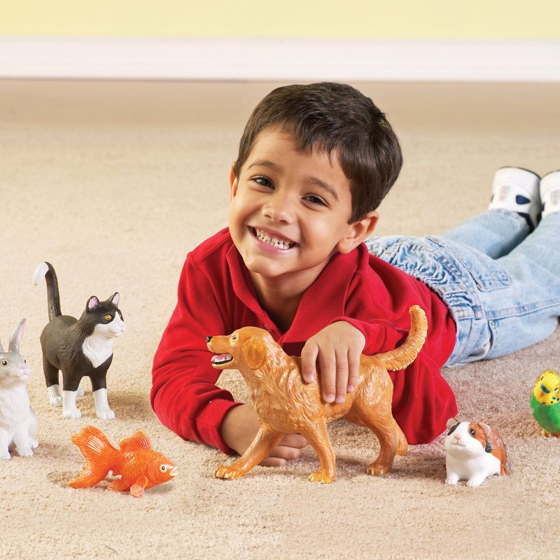 Jumbo Domestic Pets Set with 6 Colorful Animals