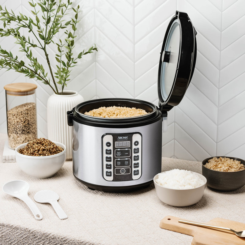 20-Cup Stainless Steel Digital Rice Cooker and Steamer