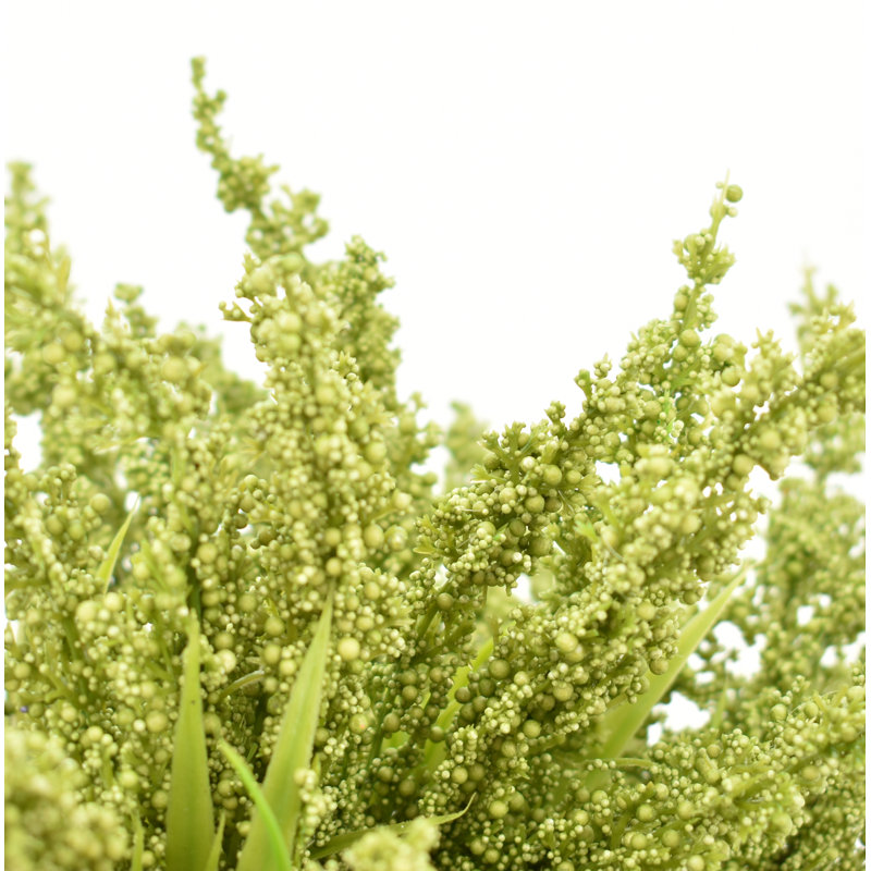 Ferdinand Heather en pot, Vert