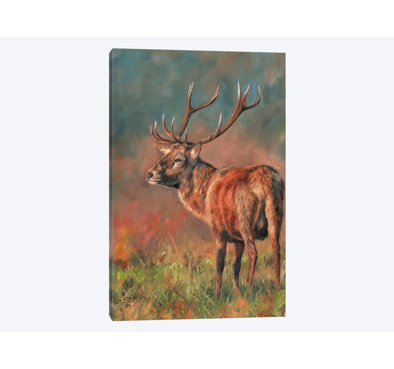 « red cerf staging light evening light », impression sur toile, H 40 po x l 26 po x P 1,5 po, Pas de tapis, Toile tendue