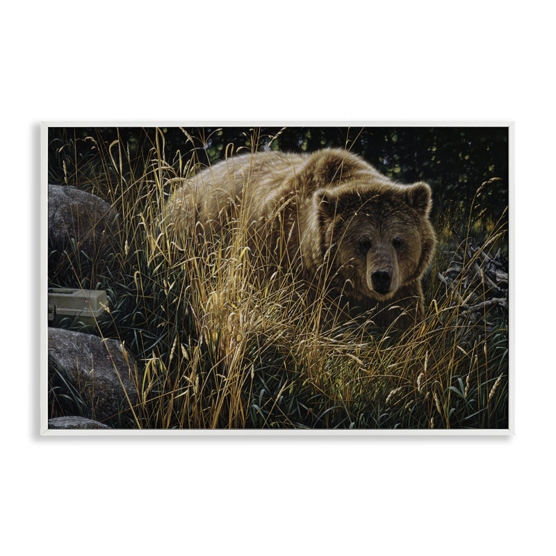 «Crossing Paths Grizzly Bear», estampe numérique, conception de Collin Bogle, H 12 po x l 18 po