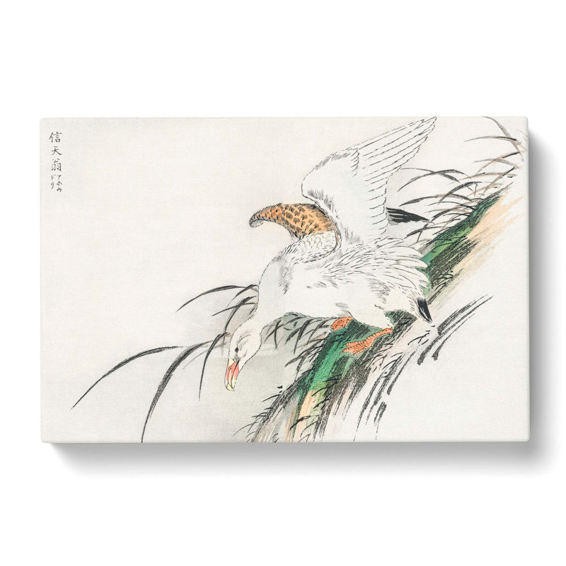 Albatross by Numata Kashu - Wrapped Canvas Painting, 60cm H x 91cm W x 3cm D