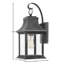Adair 1-Light Outdoor Wall Lantern