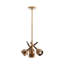 Pavo 4 - Light Chandelier