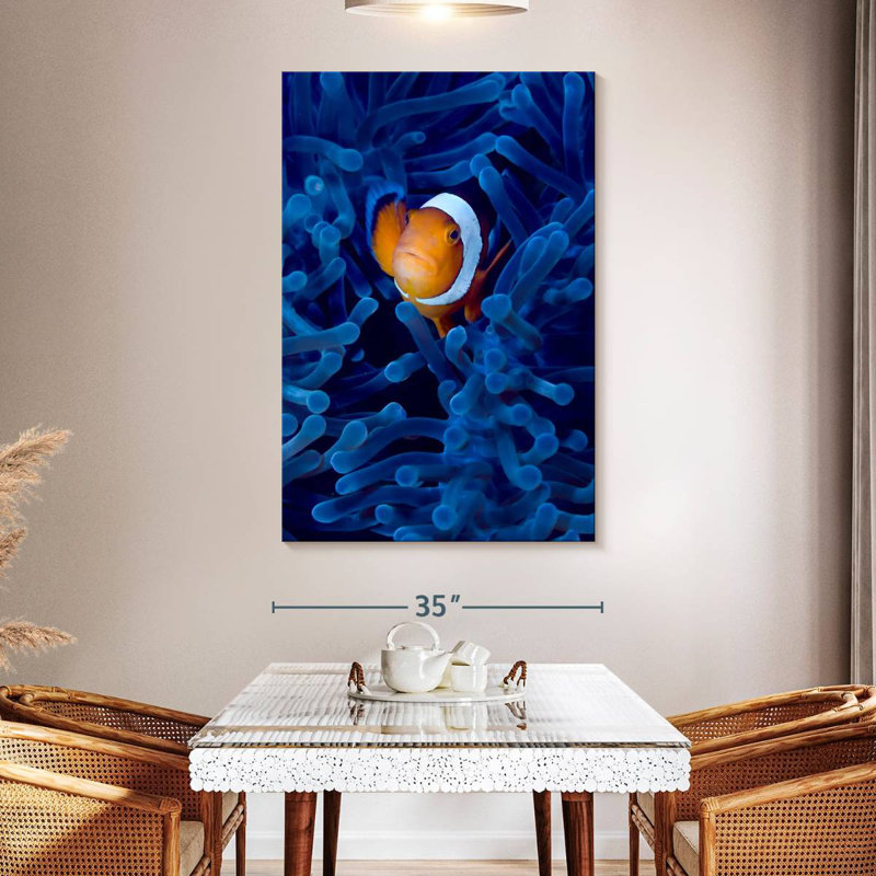 Brampt Blue Anemone Clownfish, 51" H x 34" W