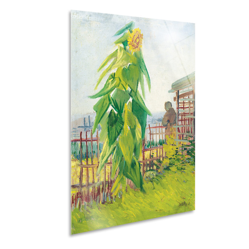 Garden With Sunflower by Vincent Van Gogh - No Frame Painting on Glass, 95cm H x 65cm W