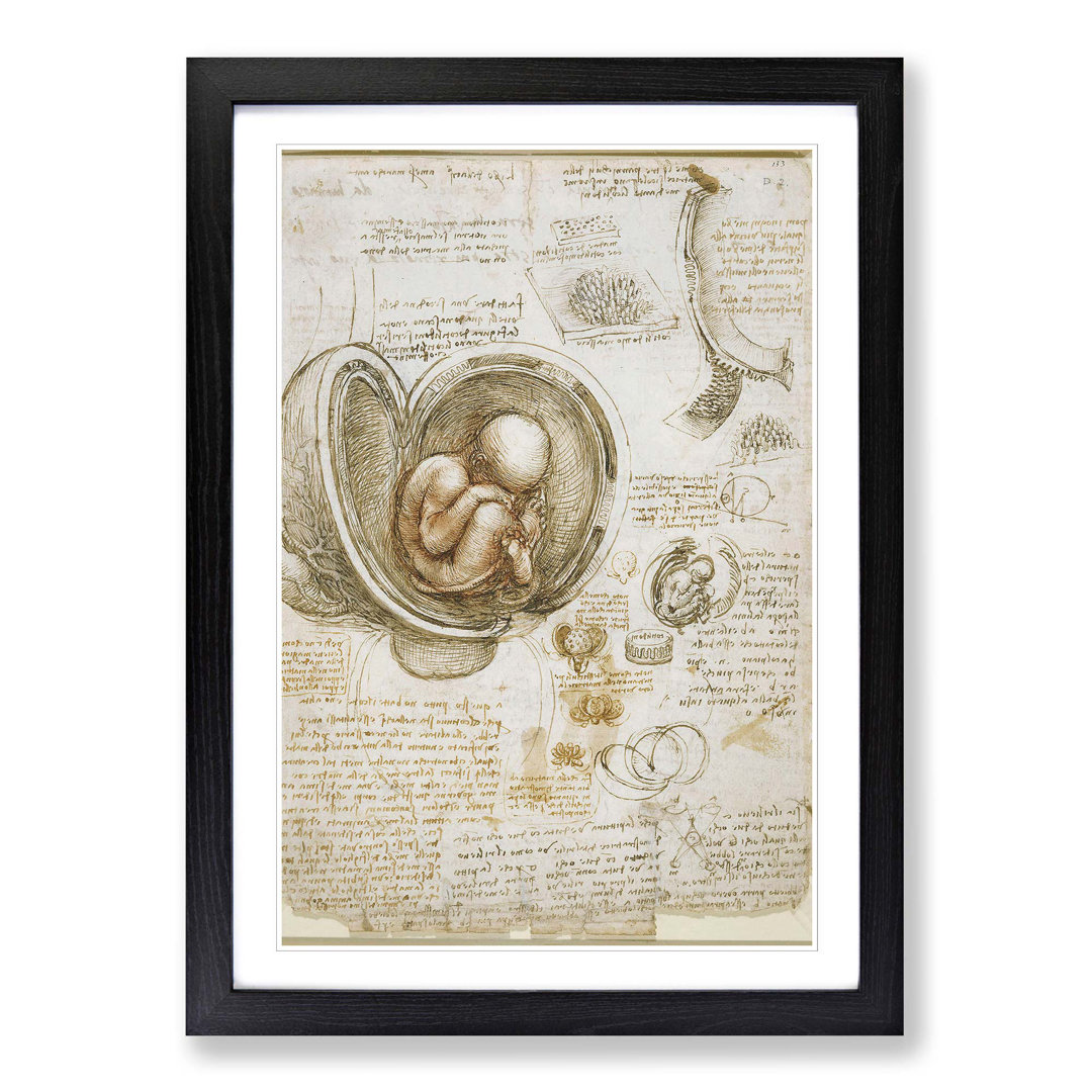 'Anatomy' by Leonardo Da Vinci Framed Wall Art