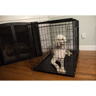 Caisse pour animaux Cecere