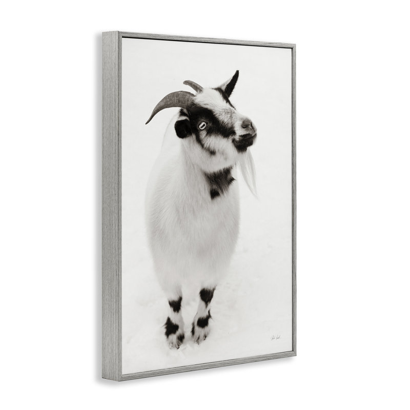 Giclée blanche encadrée de petite chèvre, design par Deborah Revell, Estampe numérique Farmhouse, H 30 po x l 20 po