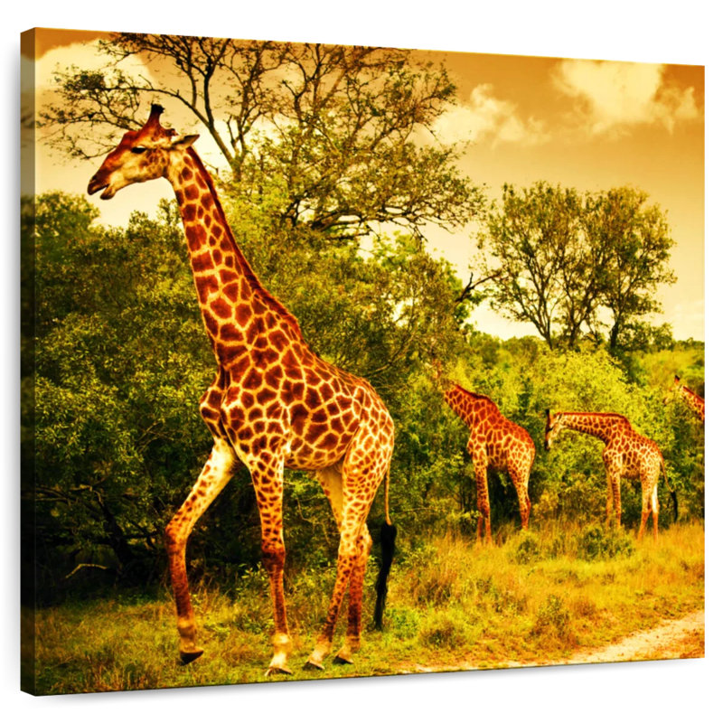 Crowle, safari africain girafes, H 10 po x l 10 po