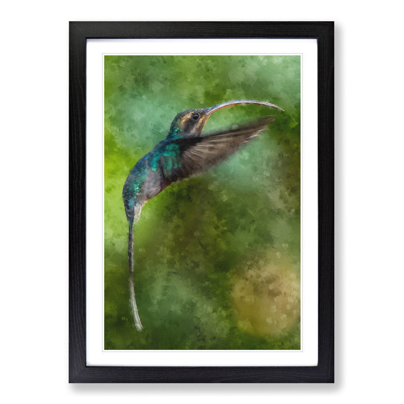 Green Hermit Hummingbird - Picture Frame Painting Print, 33cm H x 24cm W x 2cm D, Black Framed