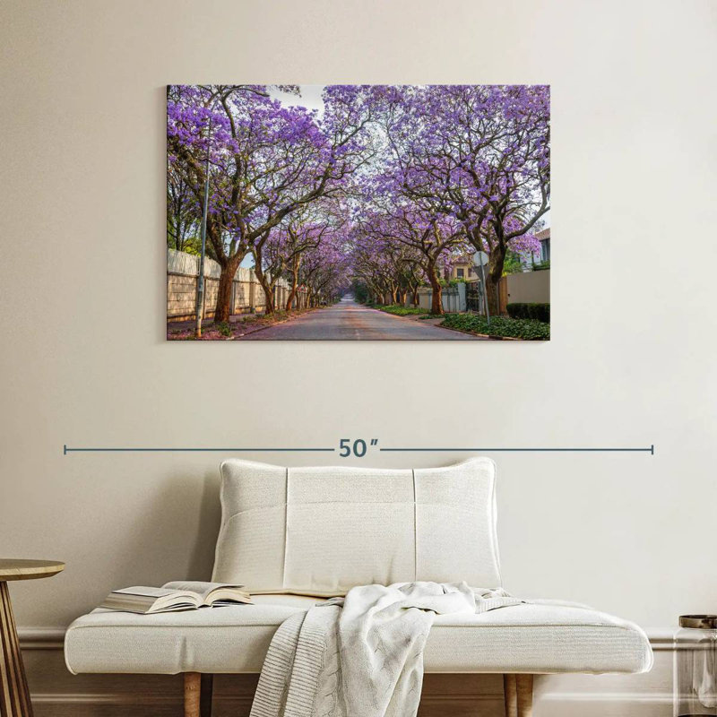 Sirci Saxonwold Jacaranda Lane, H 26 po x l 39 po