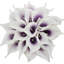 20 pièces de fleurs de lis Calla artificielles-855769180