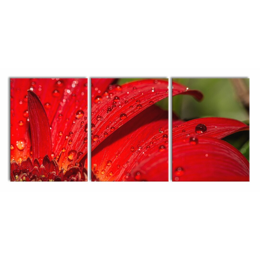 3-tlg. Leinwandbilder-Set Dew Drops on Red Flower