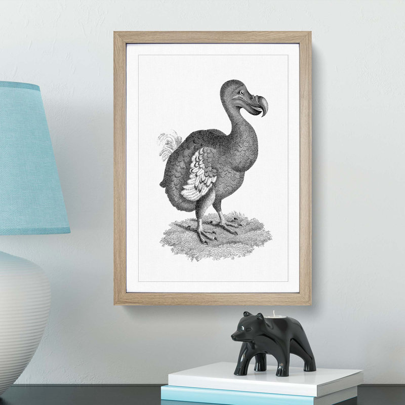 Dodo in Black and White by George Shaw - Picture Frame Drawing Print on MDF, Oak Framed, 65cm H x 48cm W x 2cm D