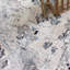 Tapis oriental crème / gris Tonia-32002205