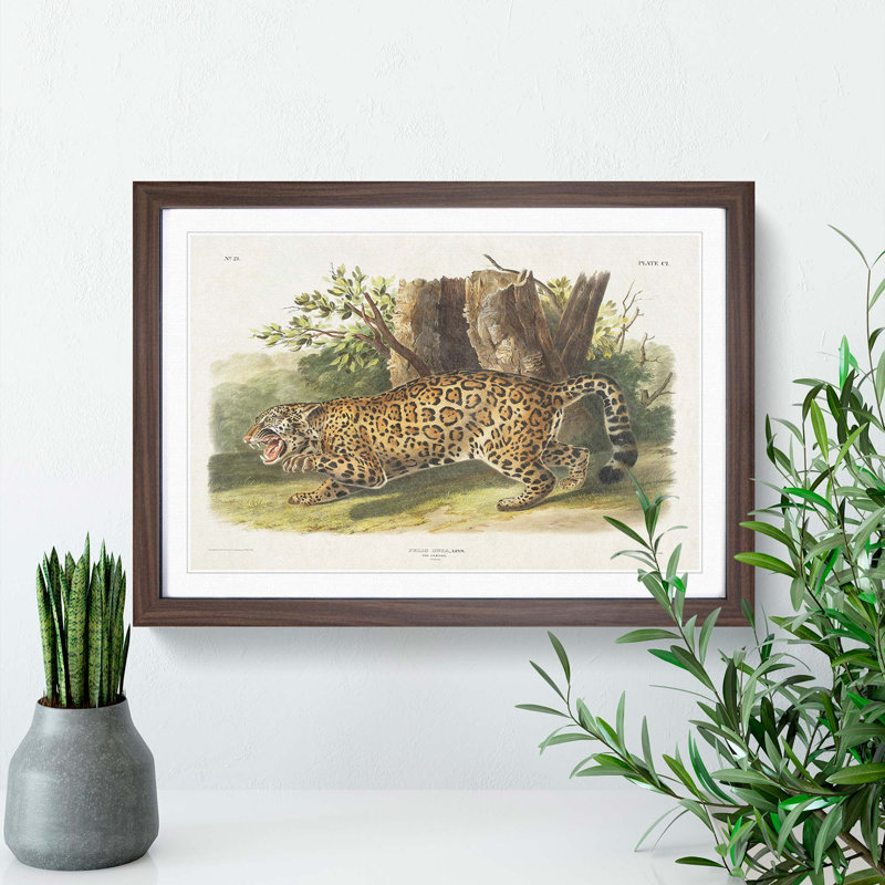 Jaguar by J.W. Audubon - Framed Print, 48cm H x 65cm W x 2cm D, Walnut Framed