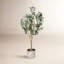 Arbre à fleurs vert olive Vickerman-73286564