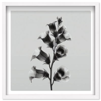 Ossified Petals I Shadowbox Floral & Botanical Print by Oliver Gal, Black Frame, 12 x 12