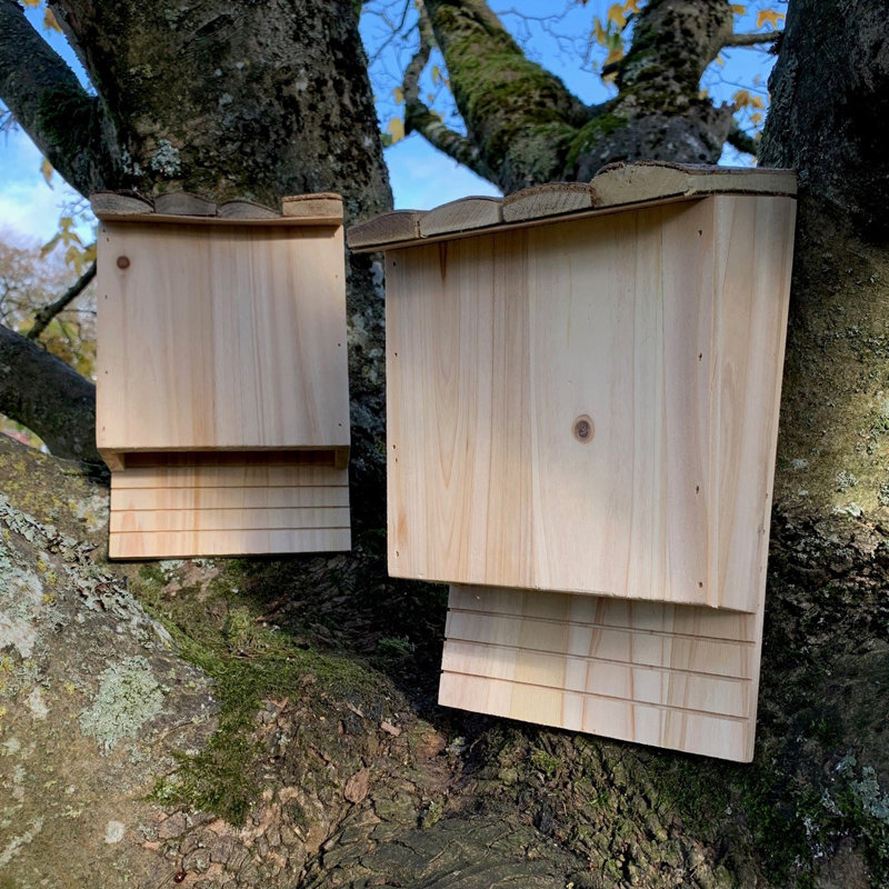 Izaguirre Mounted Bat House