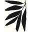 Branch 1 Print by Roebuck, Kate