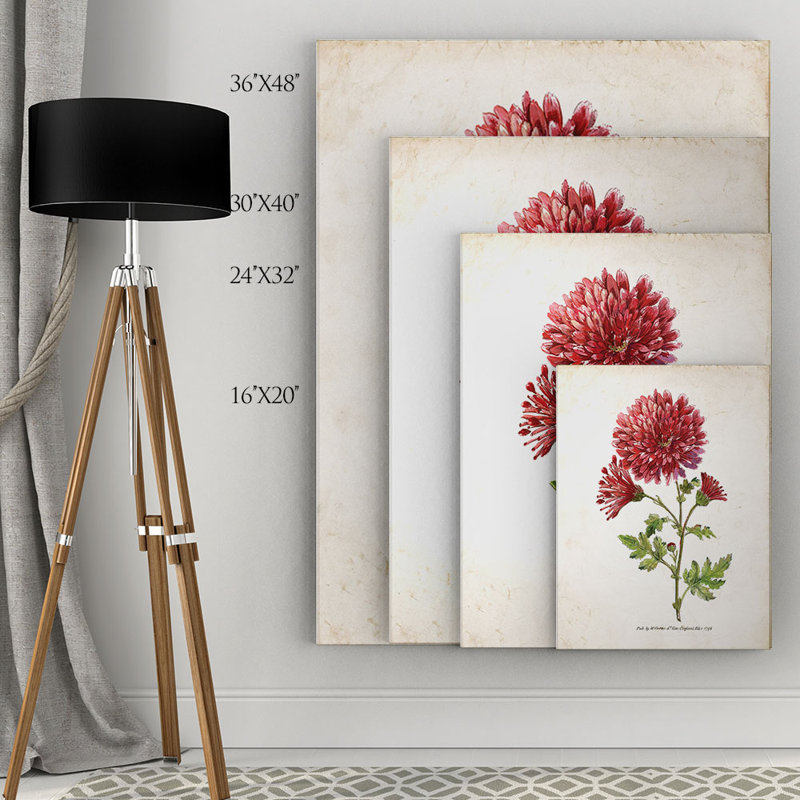 « botanique iii » par nan, reproduction d’art sur toile tendue, H 16 po x l 20 po x P 1,5 po