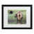Black Framed is unavailable